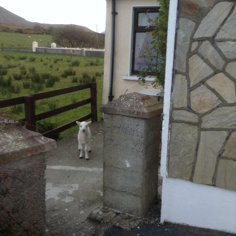 Sea View Chalet Kilsallagh Westport Co Mayo Dış mekan fotoğraf